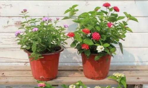 南康爆料重大事故视频最新,视频揭露惊人真相  第3张