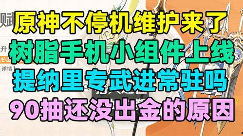 提纳里进常驻最新爆料,揭秘神秘角色背后的故事  第3张