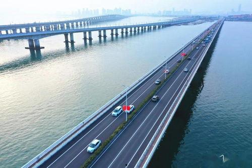 厦门大桥爆料视频大全,揭秘桥梁背后的故事与真相  第1张